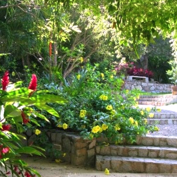 Jardín Botánico de Acapulco